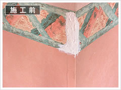 �ǂ̃L�Y��C�{�H�O3